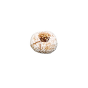 Torrono Vegano